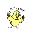 ぴよまるの日常【基本セット】（個別スタンプ：13）