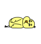 ぴよまるの日常【基本セット】（個別スタンプ：40）