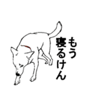 博多の犬（個別スタンプ：11）