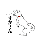 博多の犬（個別スタンプ：16）