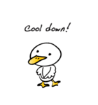 White Duck（個別スタンプ：5）