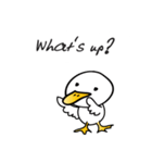 White Duck（個別スタンプ：21）