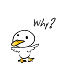 White Duck（個別スタンプ：32）