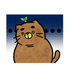 Catato（個別スタンプ：5）