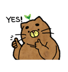 Catato（個別スタンプ：6）