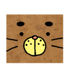 Catato（個別スタンプ：9）