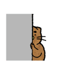 Catato（個別スタンプ：17）
