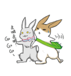 Puff Rabbit 2 ！！ Life Day（個別スタンプ：20）