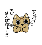 先輩ねこと後輩ねこ。（個別スタンプ：2）