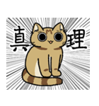 先輩ねこと後輩ねこ。（個別スタンプ：4）