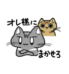 先輩ねこと後輩ねこ。（個別スタンプ：7）