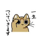 先輩ねこと後輩ねこ。（個別スタンプ：8）