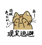 先輩ねこと後輩ねこ。（個別スタンプ：9）