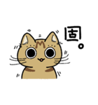 先輩ねこと後輩ねこ。（個別スタンプ：21）