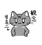 先輩ねこと後輩ねこ。（個別スタンプ：22）