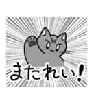 先輩ねこと後輩ねこ。（個別スタンプ：23）