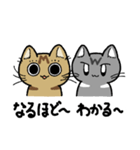 先輩ねこと後輩ねこ。（個別スタンプ：26）