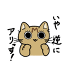 先輩ねこと後輩ねこ。（個別スタンプ：27）