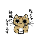 先輩ねこと後輩ねこ。（個別スタンプ：30）