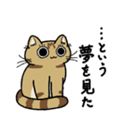 先輩ねこと後輩ねこ。（個別スタンプ：35）