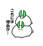 雪兎丸スタンプ（個別スタンプ：11）