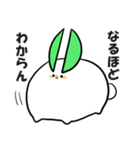 雪兎丸スタンプ（個別スタンプ：20）