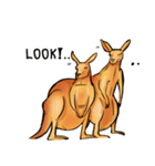 Kangaroo boxing！（個別スタンプ：20）