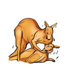 Kangaroo boxing！（個別スタンプ：33）