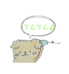 Capricious Toy Poodle Hapio（個別スタンプ：1）