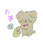 Capricious Toy Poodle Hapio（個別スタンプ：2）