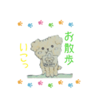 Capricious Toy Poodle Hapio（個別スタンプ：3）