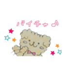 Capricious Toy Poodle Hapio（個別スタンプ：6）