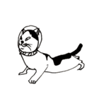 宇宙に猫がいたら（個別スタンプ：4）