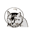 宇宙に猫がいたら（個別スタンプ：6）