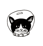 宇宙に猫がいたら（個別スタンプ：9）