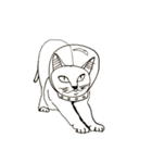 宇宙に猫がいたら（個別スタンプ：24）