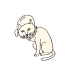 宇宙に猫がいたら（個別スタンプ：26）