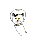 宇宙に猫がいたら（個別スタンプ：30）