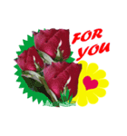 FLOWER TODAY2（個別スタンプ：7）