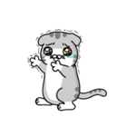Geely meow（個別スタンプ：12）