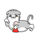 Geely meow（個別スタンプ：29）