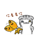 Geely meow（個別スタンプ：31）