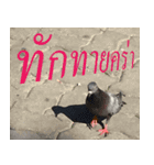 nokPILAAB : Queen of nok.（個別スタンプ：2）