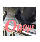 nokPILAAB : Queen of nok.（個別スタンプ：7）