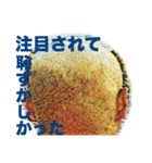 はるちゃんのドキドキスタンプ Part2（個別スタンプ：24）