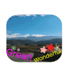 Practical greetings with life(English)（個別スタンプ：17）