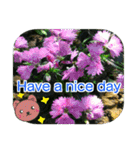 Practical greetings with life(English)（個別スタンプ：24）
