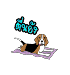 Enjoy Beagle(Beagle Animation)（個別スタンプ：1）