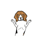 Enjoy Beagle(Beagle Animation)（個別スタンプ：4）