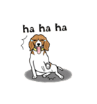 Enjoy Beagle(Beagle Animation)（個別スタンプ：13）